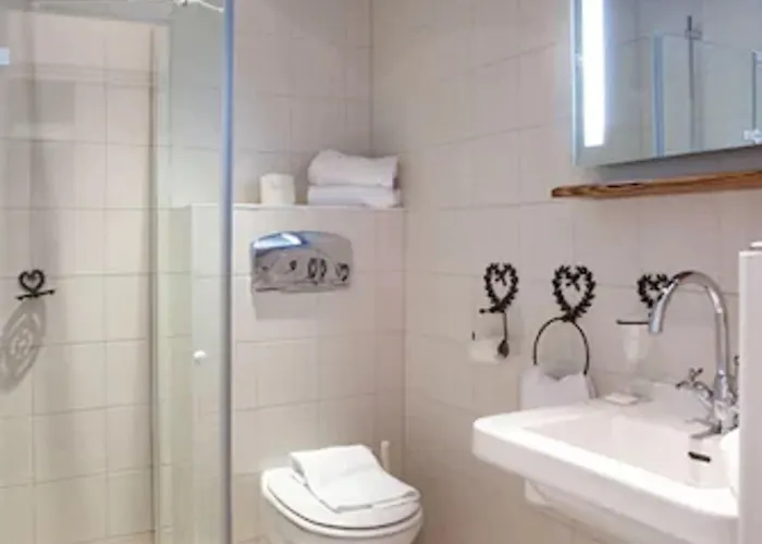 Hotel Logis Hotel Domaine De Rouffach 3*